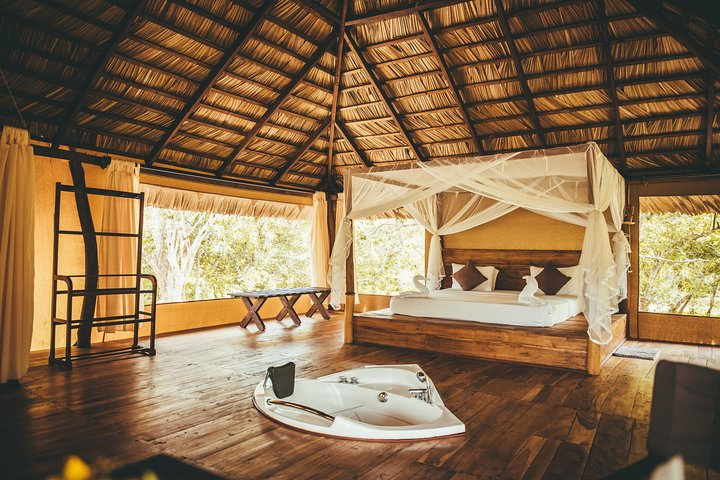 All Inclusive Tented Camping & Luxury Safari Tours in Yala Park - Photo 1 of 23
